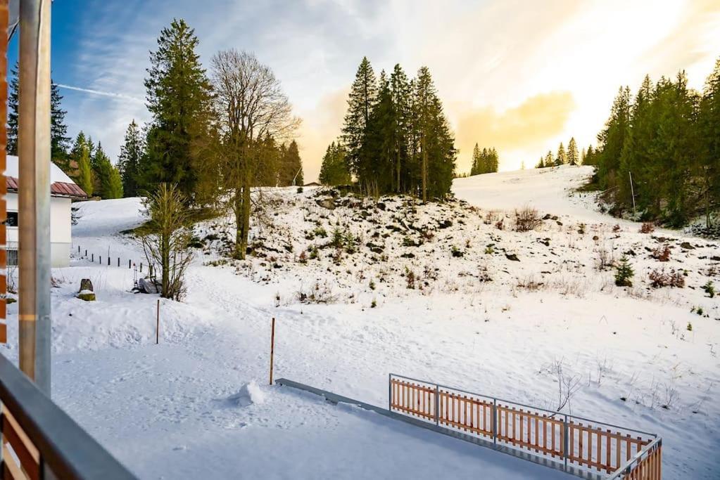 Ferienwohnung Feldberg Schwarzwald Exterior photo